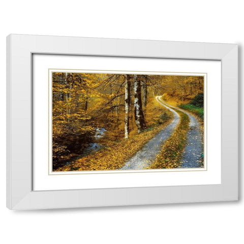 Winding Road White Modern Wood Framed Art Print with Double Matting by Van de Goor, Lars
