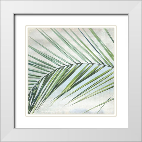 Palm View I White Modern Wood Framed Art Print with Double Matting by Weisz, Irene