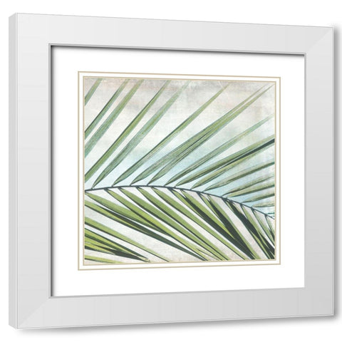 Palm View II White Modern Wood Framed Art Print with Double Matting by Weisz, Irene