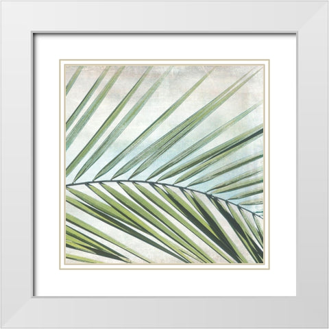 Palm View II White Modern Wood Framed Art Print with Double Matting by Weisz, Irene