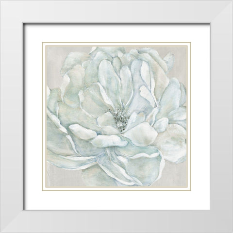 Morning Petals White Modern Wood Framed Art Print with Double Matting by Robinson, Carol