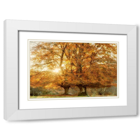 Couple of Beeches White Modern Wood Framed Art Print with Double Matting by Van de Goor, Lars