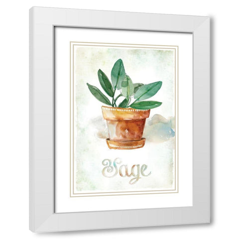 Potted Sage White Modern Wood Framed Art Print with Double Matting by Robinson, Carol