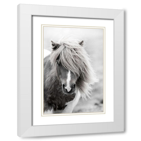 Shetland Summer White Modern Wood Framed Art Print with Double Matting by Zwick, Martin