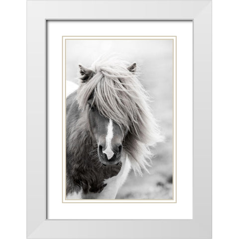 Shetland Summer White Modern Wood Framed Art Print with Double Matting by Zwick, Martin