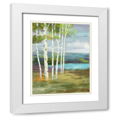 High Country White Modern Wood Framed Art Print with Double Matting by Nan