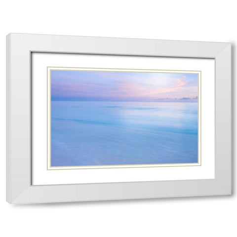 Midway Atoll White Modern Wood Framed Art Print with Double Matting by Delimont, Danita