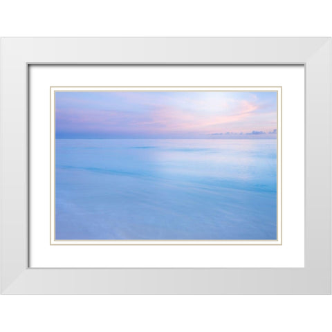 Midway Atoll White Modern Wood Framed Art Print with Double Matting by Delimont, Danita