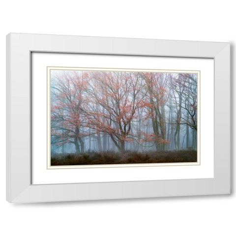 Misty Contrasts White Modern Wood Framed Art Print with Double Matting by Van de Goor, Lars