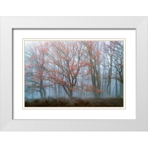 Misty Contrasts White Modern Wood Framed Art Print with Double Matting by Van de Goor, Lars