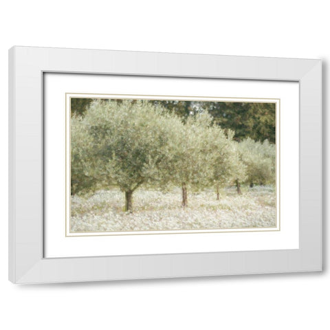 Paintograph Olive Trees White Modern Wood Framed Art Print with Double Matting by Van de Goor, Lars