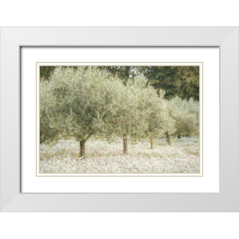 Paintograph Olive Trees White Modern Wood Framed Art Print with Double Matting by Van de Goor, Lars