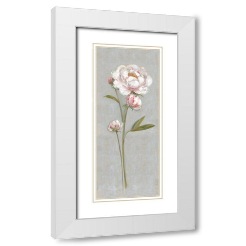 Peony Magic I White Modern Wood Framed Art Print with Double Matting by Swatland, Sally