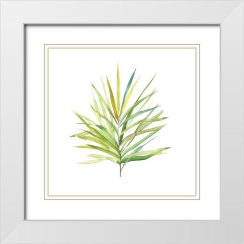 Tropical Botanical I White Modern Wood Framed Art Print with Double Matting by Robinson, Carol