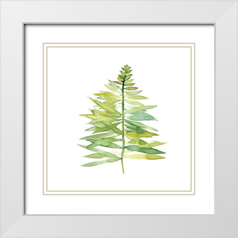 Tropical Botanical II White Modern Wood Framed Art Print with Double Matting by Robinson, Carol
