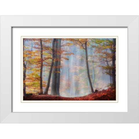 Always Magic White Modern Wood Framed Art Print with Double Matting by Weisz, Irene