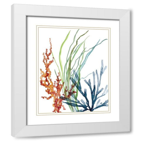 Ocean Garden I White Modern Wood Framed Art Print with Double Matting by Robinson, Carol