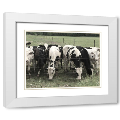 Grass is Greener White Modern Wood Framed Art Print with Double Matting by Nan