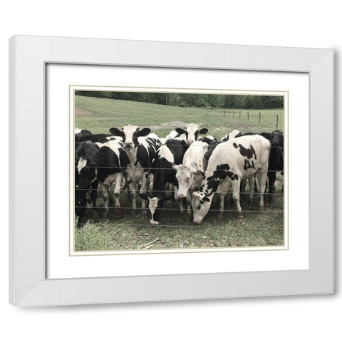 Mooove Over White Modern Wood Framed Art Print with Double Matting by Nan