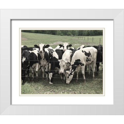 Mooove Over White Modern Wood Framed Art Print with Double Matting by Nan