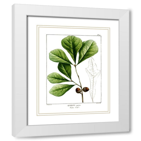 White Oak White Modern Wood Framed Art Print with Double Matting by Donovan, Kelly