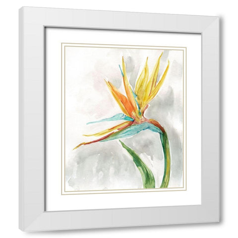 Bird of Paradise II White Modern Wood Framed Art Print with Double Matting by Robinson, Carol