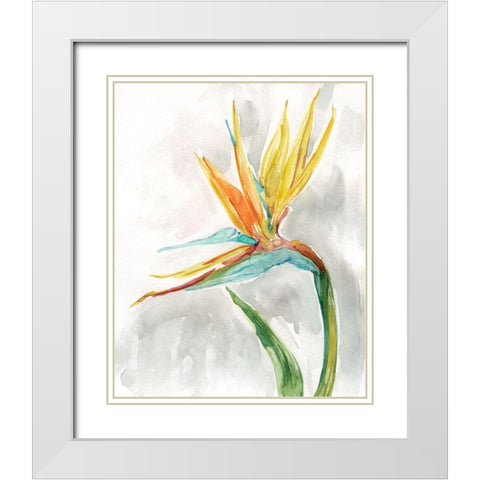 Bird of Paradise II White Modern Wood Framed Art Print with Double Matting by Robinson, Carol