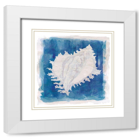 Coastal Washes Shell I White Modern Wood Framed Art Print with Double Matting by Robinson, Carol