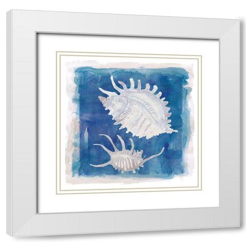 Coastal Washes Shell II White Modern Wood Framed Art Print with Double Matting by Robinson, Carol