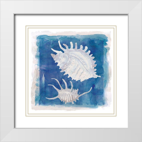 Coastal Washes Shell II White Modern Wood Framed Art Print with Double Matting by Robinson, Carol