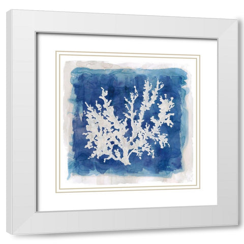 Coastal Washes Shell IV White Modern Wood Framed Art Print with Double Matting by Robinson, Carol