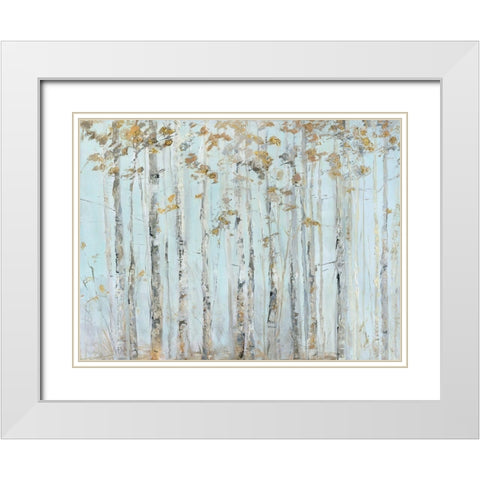 Soft Birch Forest White Modern Wood Framed Art Print with Double Matting by Swatland, Sally