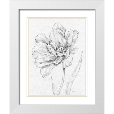 Tulip Sketch White Modern Wood Framed Art Print with Double Matting by Robinson, Carol