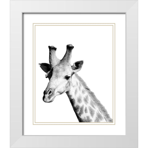 Safari Giraffe White Modern Wood Framed Art Print with Double Matting by Hopkins, Cindy Miller