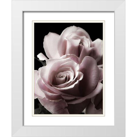 Rose Noir II White Modern Wood Framed Art Print with Double Matting by Miller, Anna