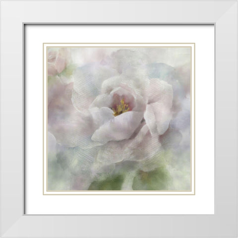 Dreamy Peony White Modern Wood Framed Art Print with Double Matting by Nan