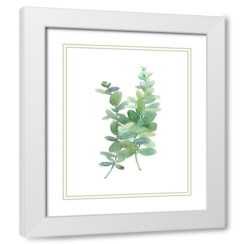 Eucalyptus I White Modern Wood Framed Art Print with Double Matting by Robinson, Carol