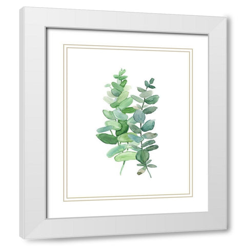Eucalyptus II White Modern Wood Framed Art Print with Double Matting by Robinson, Carol