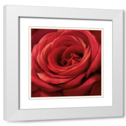 Solo Red White Modern Wood Framed Art Print with Double Matting by Levashov, Igor