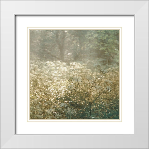 Foret De Tenom Detail White Modern Wood Framed Art Print with Double Matting by Van de Goor, Lars