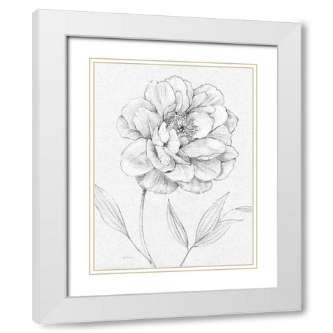 Peony Sketch White Modern Wood Framed Art Print with Double Matting by Robinson, Carol