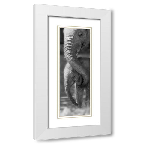 Morning Moment White Modern Wood Framed Art Print with Double Matting by Westmorland, Michele