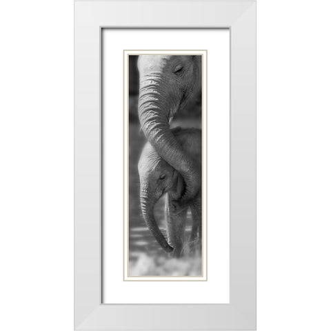 Morning Moment White Modern Wood Framed Art Print with Double Matting by Westmorland, Michele