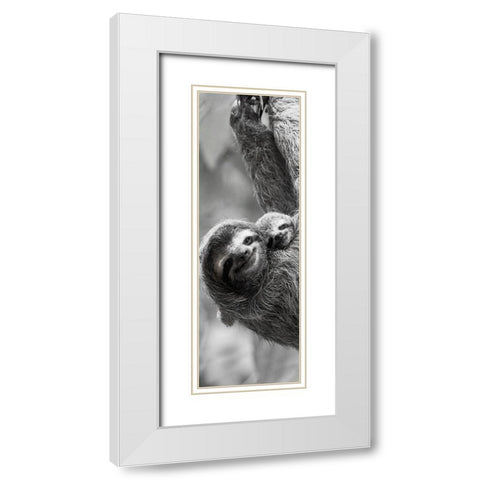 Sloth Swing White Modern Wood Framed Art Print with Double Matting by Goldstein, Jim