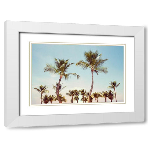 Aruba Palm White Modern Wood Framed Art Print with Double Matting by Carpentieri, Natalie