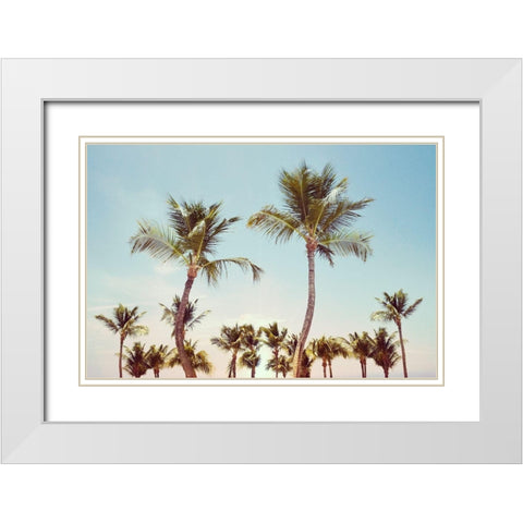 Aruba Palm White Modern Wood Framed Art Print with Double Matting by Carpentieri, Natalie