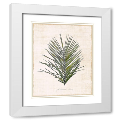 Palm Botanical I White Modern Wood Framed Art Print with Double Matting by Carpentieri, Natalie