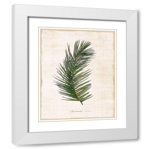 Palm Botanical II White Modern Wood Framed Art Print with Double Matting by Carpentieri, Natalie