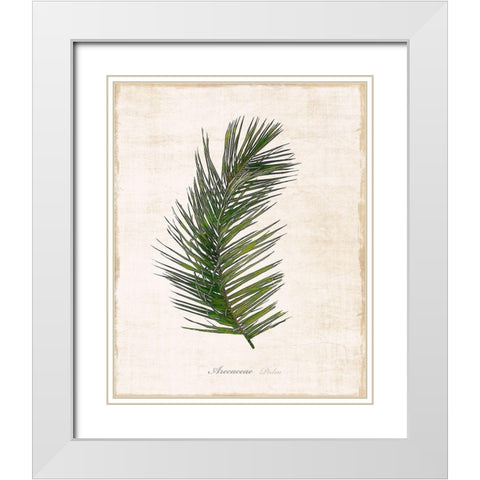 Palm Botanical II White Modern Wood Framed Art Print with Double Matting by Carpentieri, Natalie