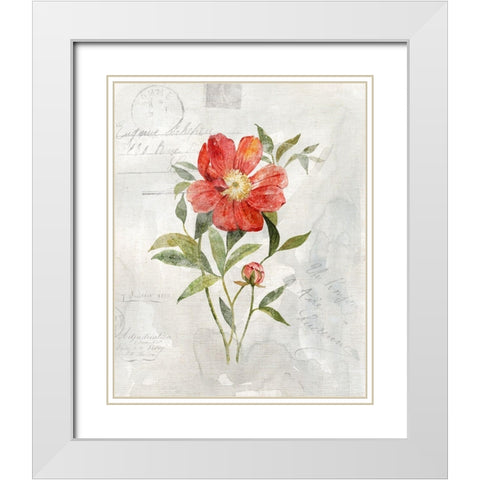 Linen Peony White Modern Wood Framed Art Print with Double Matting by Robinson, Carol